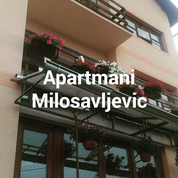 Apartmani Milosavljevic Soko Banja Exteriér fotografie